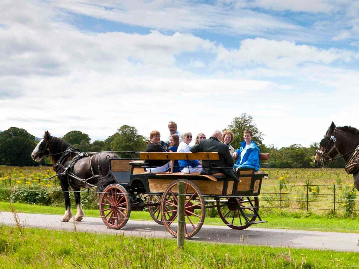 Madams Hill House Killarney By Trident Holiday Homes Bagian luar foto
